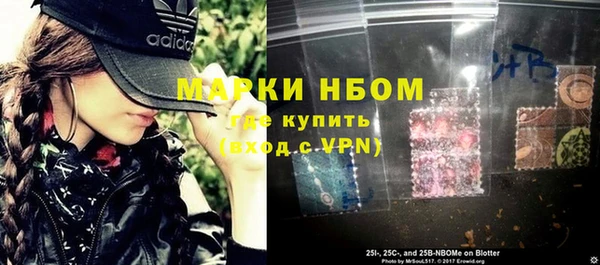 индика Белоозёрский