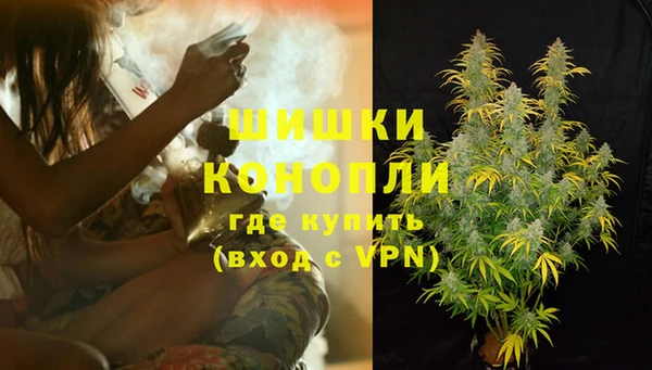 индика Белоозёрский