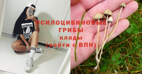 соль ск Балабаново