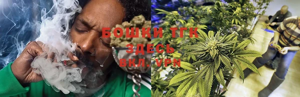 PSILOCYBIN Беломорск