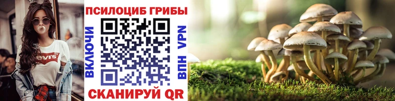 Псилоцибиновые грибы Psilocybe  Ершов 