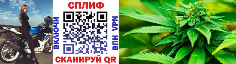 МАРИХУАНА THC 21%  блэк спрут как зайти  Ершов 